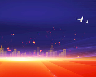 梦幻夜景公路与飞鸟