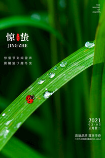 惊蛰海报设计模板 