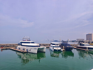 港口停泊的多艘豪华游艇