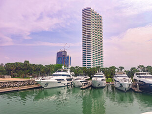 海滨码头旁的高楼与游艇