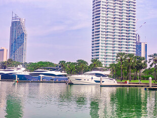 海滨码头的游艇