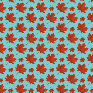 蓝色背景上的红色枫叶图案
