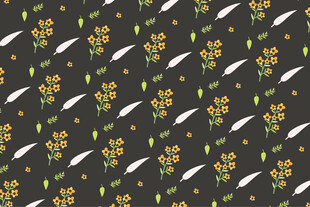 黑色背景花卉条纹图案