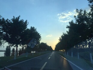 黄昏下的林荫道路