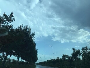 车窗外的天空与树木景观