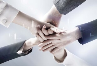 团队携手共筑成功之路