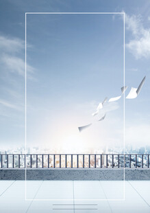 天际飞鸟下的开阔平台