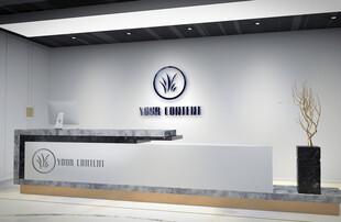 现代简约风格公司前台