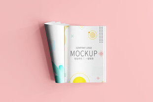 画册包装样机展示