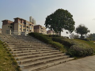 校园阶梯旁的美丽建筑