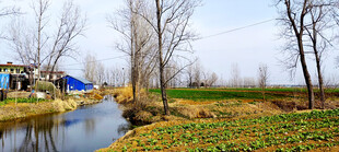 乡村边的小河田野风光景色