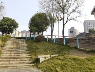 户外阶梯旁的自然景致