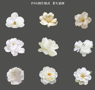 白色花瓣素材