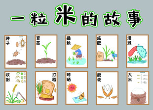 一粒米的故事
