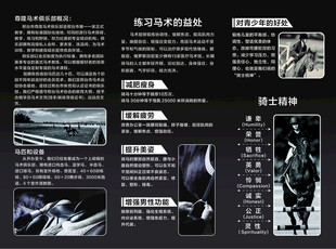 马术 宣传页