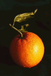 鲜橙