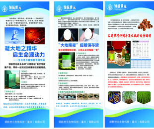 科技科普知识宣传折页