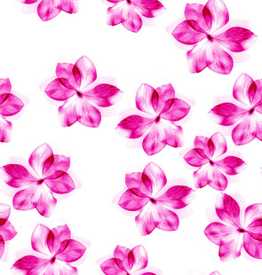 粉色花朵无缝图案背景