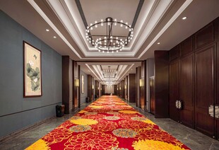 豪华宴会厅内的绚丽地毯
