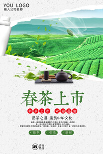 春茶上市