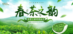 春茶上市 