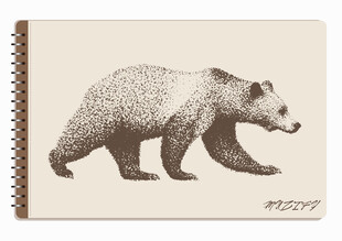 线圈本 熊素描画