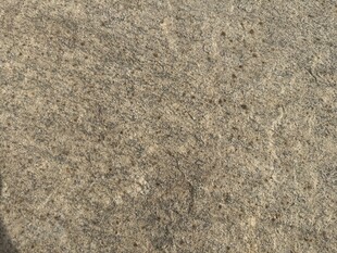 粗糙灰褐色砂石表面