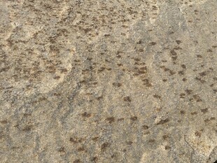 粗糙斑驳的石质纹理表面