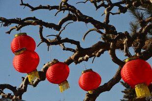 红灯笼  