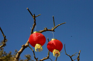 红灯笼  