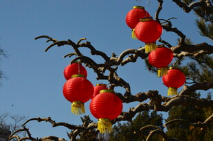 红灯笼 
