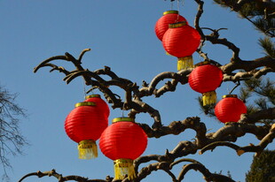 红灯笼  