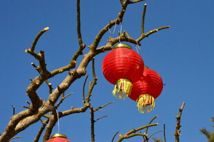 红灯笼 