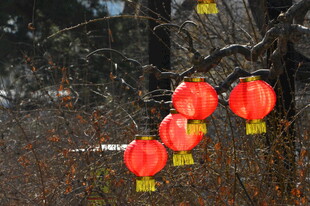 红灯笼 
