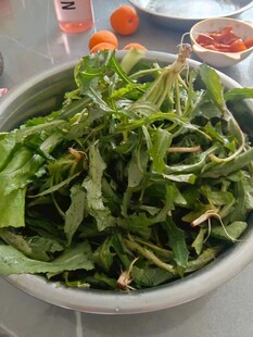 新鲜嫩绿蔬菜盛于碗中