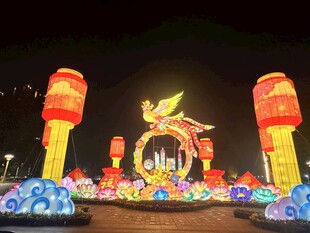 璀璨夜景中的精美春节花灯