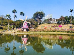 云台花园湖畔风车美景如画