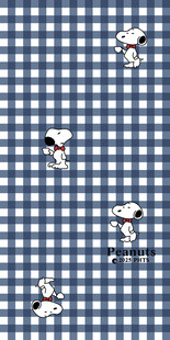 蓝白格子背景上的小图案