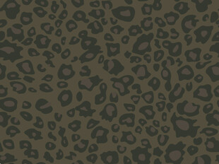 豹纹图案纹理背景