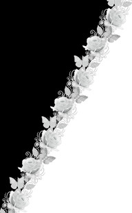 精致白色蕾丝花边装饰