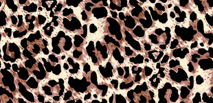 豹纹图案纹理背景图