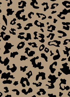 豹纹图案背景纹理