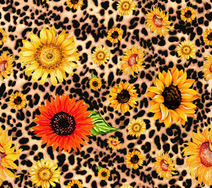豹纹背景上的多彩向日葵