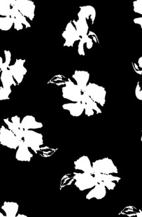黑白花卉图案背景