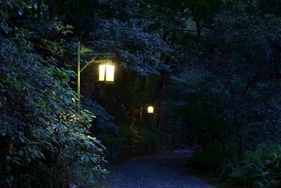 幽径夜灯