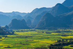 田园山色间的金黄美景
