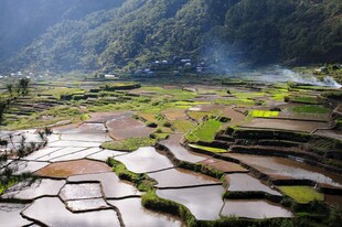 山间梯田美景