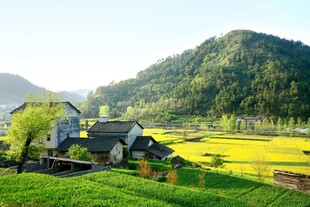 田园山村美景如画