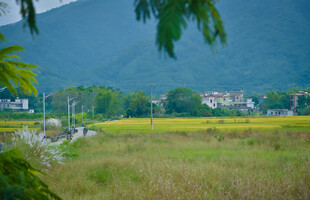 田野风光