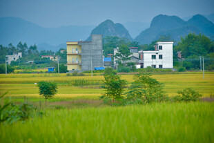 乡村田园风光美景